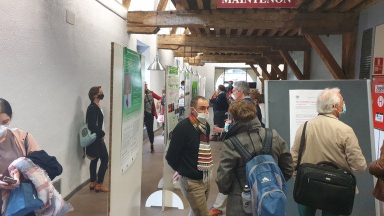 General view of the posters session